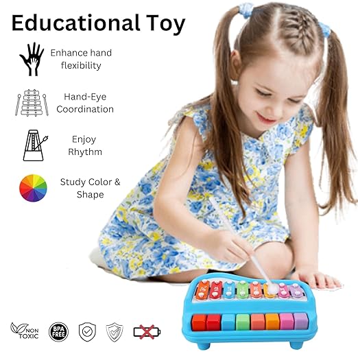 2 in 1 Baby Piano Xylophone Toy, Child Safe Music Toy with 8 Color Key