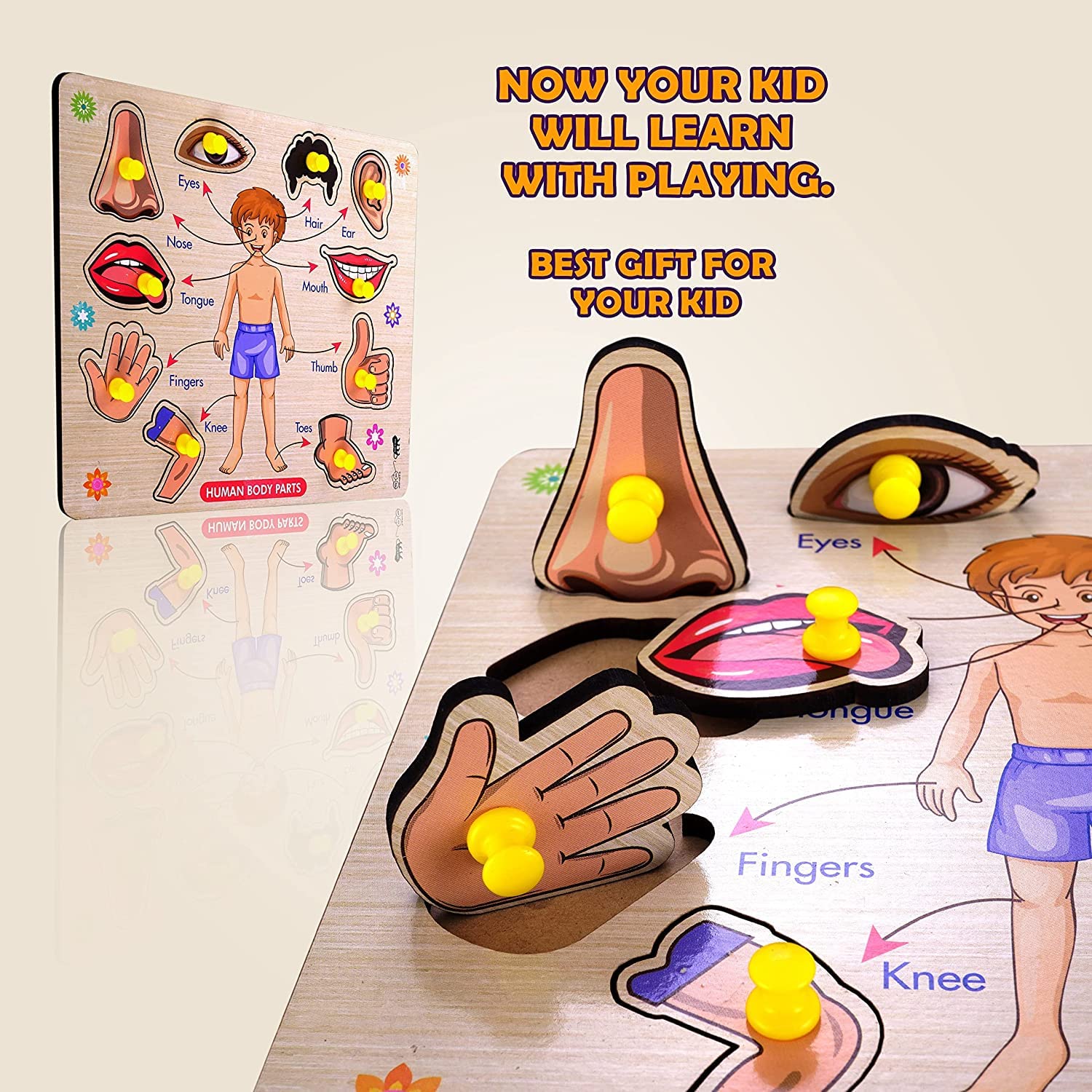 Wooden Human Body Parts and Fruits Puzzle, Educational & Learning Game