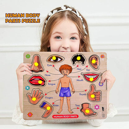 Wooden Human Body Parts and Fruits Puzzle, Educational & Learning Game